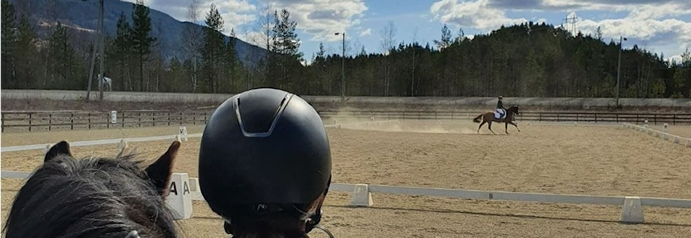 Medlemsmøte på Teams, agenda: Stevnestart og dugnadsoppgaver